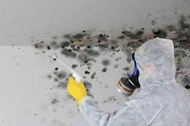 Best Mold Prevention Services  in Hopewell, NJ